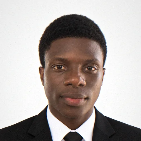 Lieven Jean Robert Paligwende, Board Member, Legal Affairs